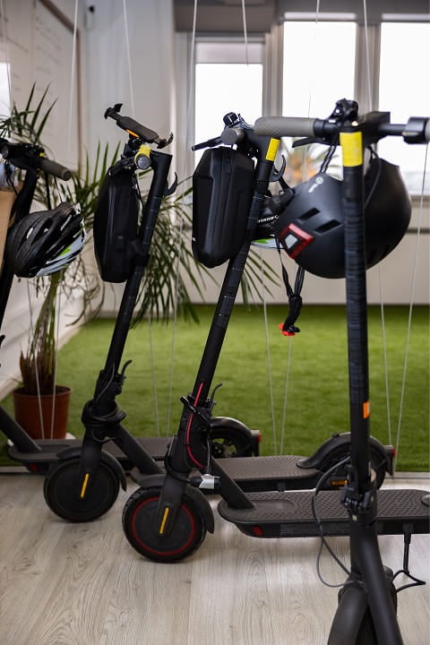 Lasting Dynamics Gallery 13