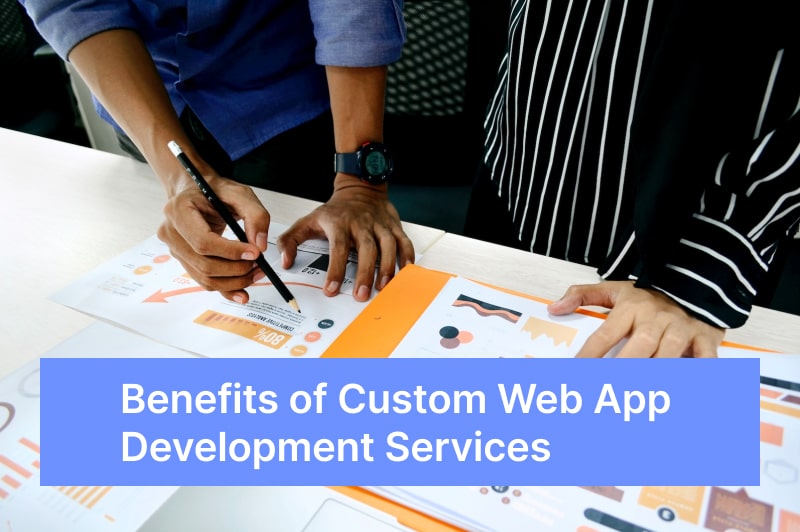 Custom Web App Development Services 1