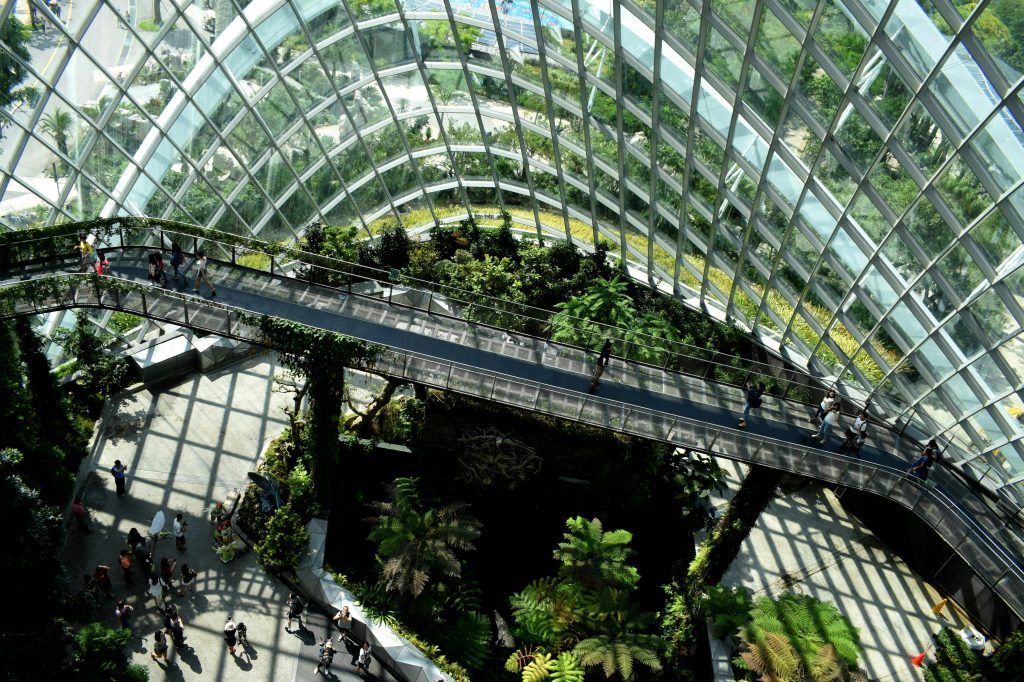 custom software development companies in Dubai