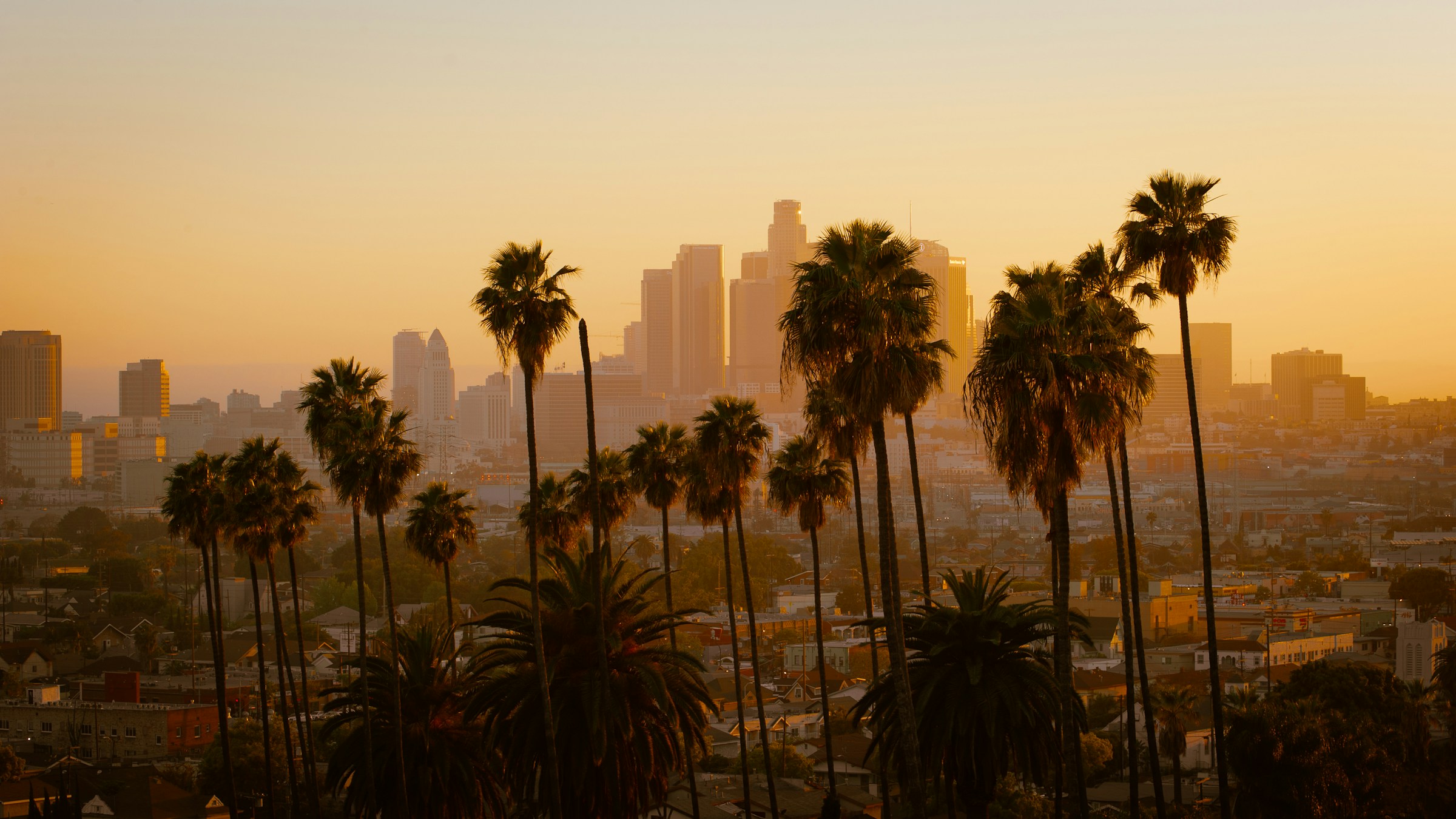 4 Leading AI Development Companies in Los Angeles 2026 1 AI Development in Los Angels is rising.